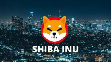 Shiba Inu These 10 Companies Have Been Accepting The Meme 768x602
