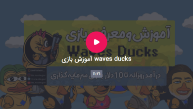 آمورش بازی waves ducks